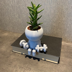 Wee Jimmy Do You Even Lift, Bro? Weightlifter Strength Trainer Airplant Succulent Holder - Ships from USA