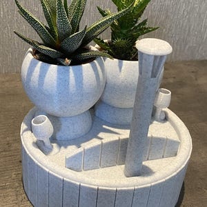 Hot tub gift succulent planter &quot;Wee Jimmy in the tub&quot; airplant holder - Ships from UK