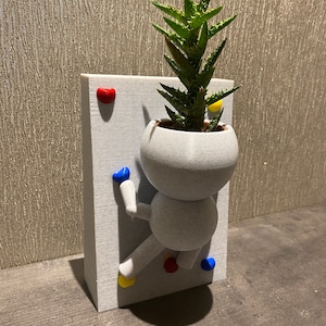 Wee Jimmy Climbing the Walls Rock Climber Plant Pot whimsical quirky succulent planter airplant holder - Ships from USA