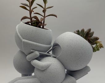 Dentist gift quirky succulent planter &quot;Wee Jimmy say Aaaah&quot; - Ships from USA