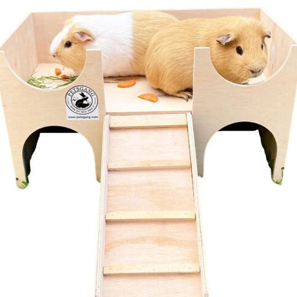 Guinea Pig Castle - Etsy