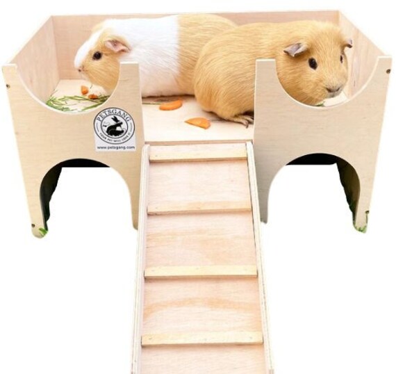 Guinea Pig Castle House Etsy UK