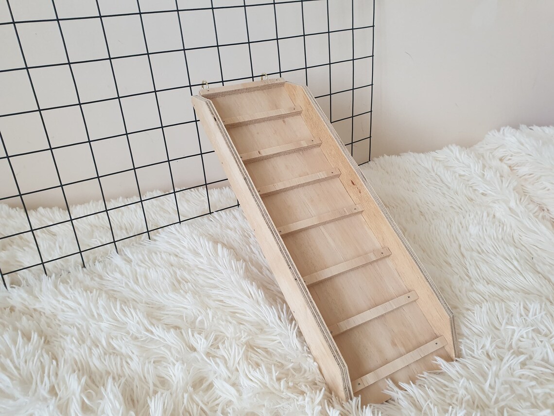 Shelf Ramp Ladder Sides for Rat Hamster Guinea Pig Rabbit Etsy UK