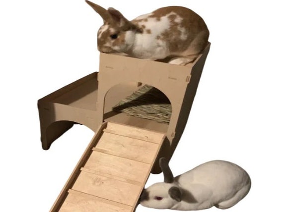 Diy Hideouts for Small Animals in a Multi-Pet Household: The Ultimate Guide