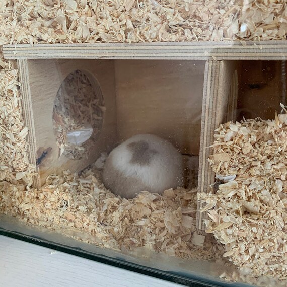 hamster burrowing material