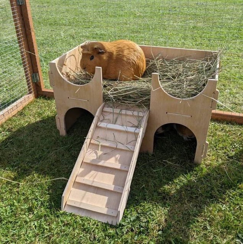 Guinea Pig Castle House Shelter Hide Out 2tiered Hideaway Etsy