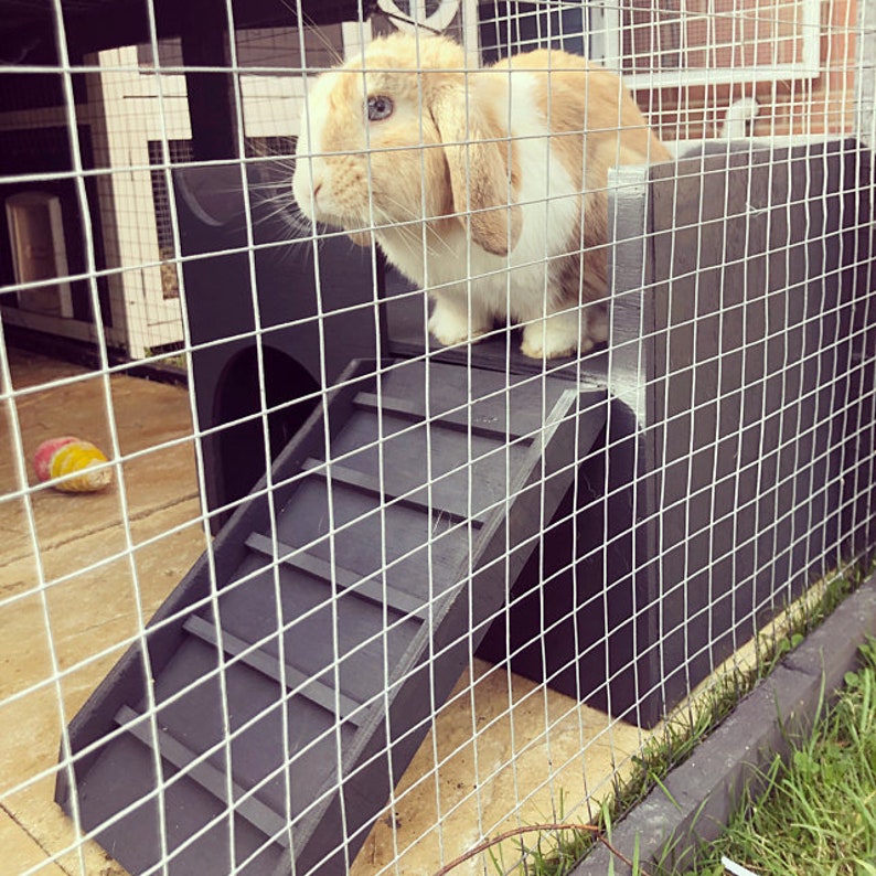 Große Burg Schutz zwei gestufte Kaninchen Haus Schloss | Etsy