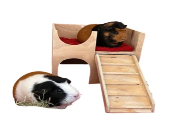 Tassel Castle, Hide-out, Hidey for Guinea Pigs, Ferrets, Hedgehogs,  Chinchilla, Sugar Gliders and Other Small Animals 
