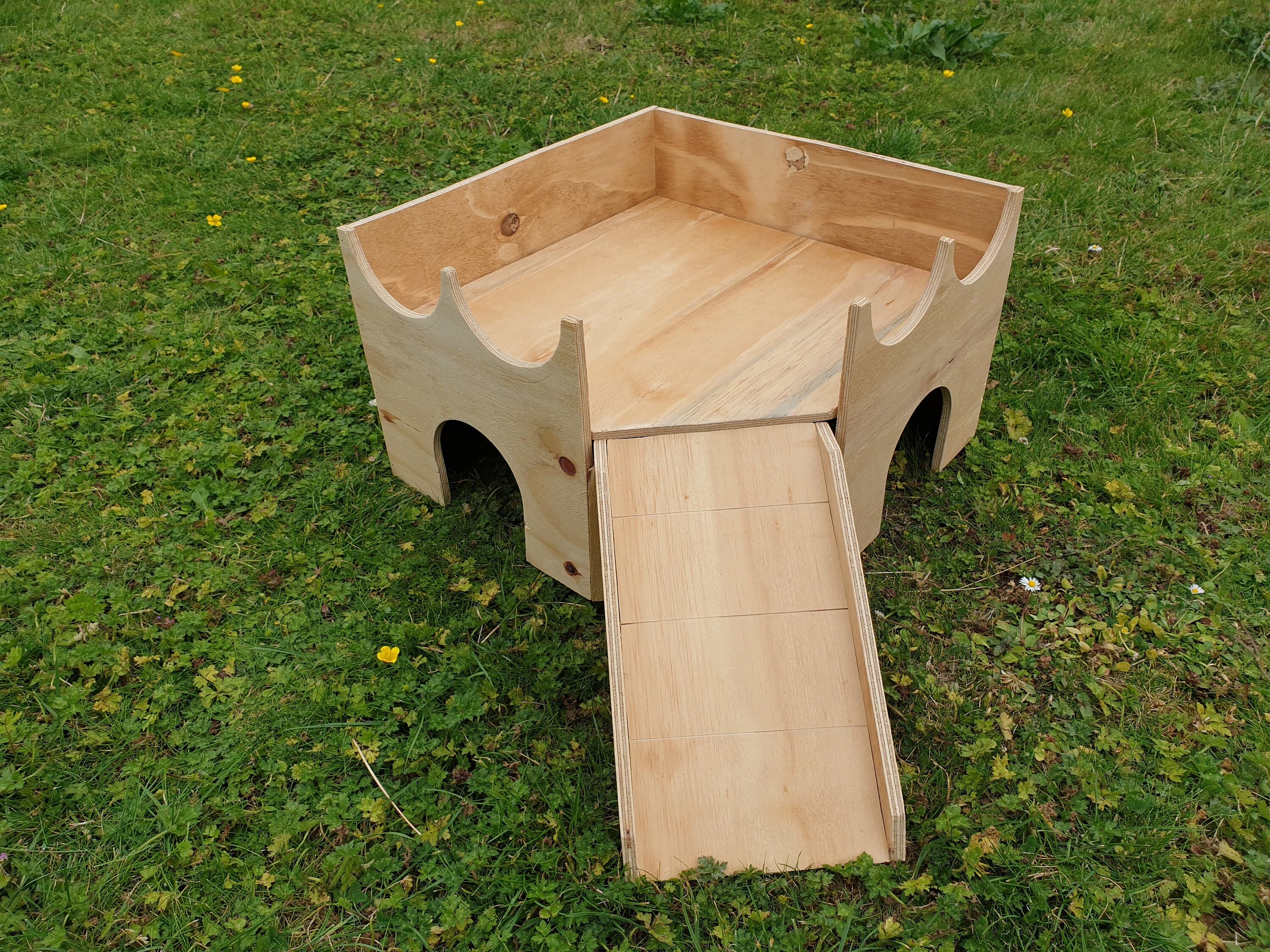 guinea pig castle house