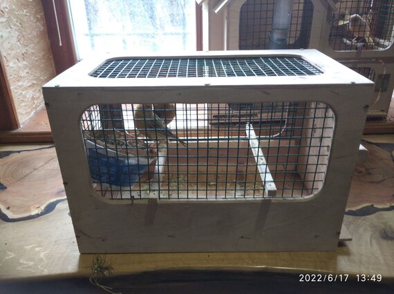 Jaula de loro de Pájaro Caja nido Casa Pájaros Lugar - España