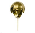 Brass Horseshoe Crab Door Knocker: Shiny Gate & Home Decor