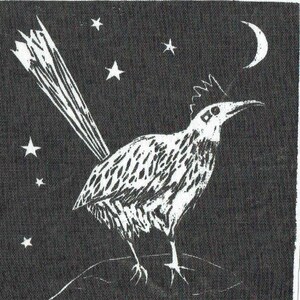 May include: A monochrome illustration of a roadrunner bird with a long tail, set against a night sky with stars and a crescent moon. The bird is detailed with a textured body and a crest. The background is black.