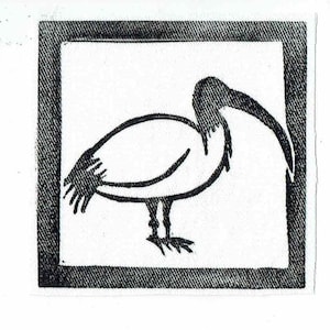 May include: A black and white illustration of a bird with a long, curved beak, standing inside a square frame with a textured border. The bird's body is white, and the outline is black.