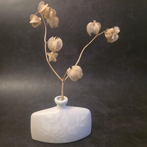 May include: A white ceramic vase with a rectangular base and a narrow neck, holding dried seed pods. The vase has a subtle embossed floral design. The seed pods are beige and delicate, adding a natural element to the composition.