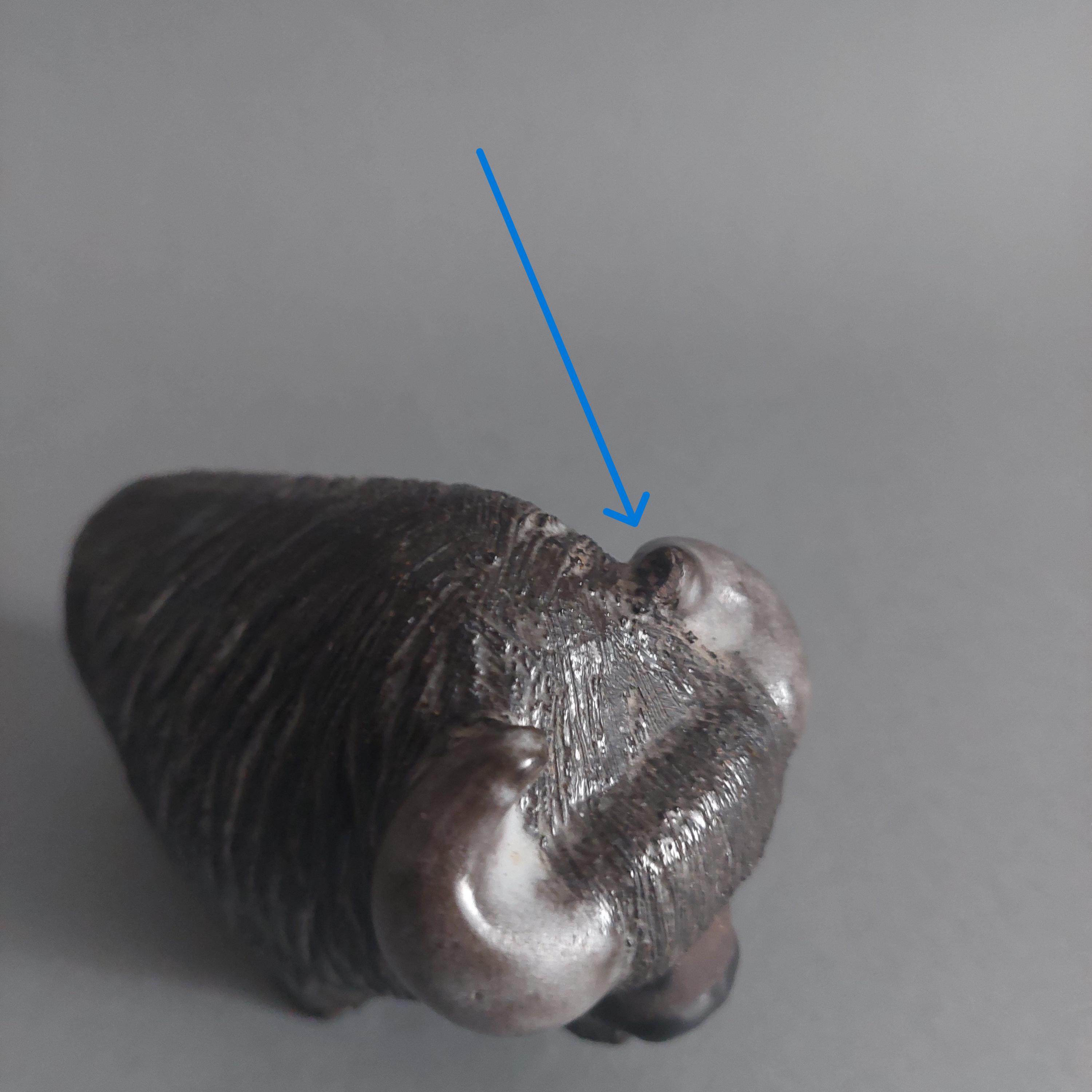 Göran Andersson for UPSALA-EKEBY Ceramic Bison Figurine; Sweden