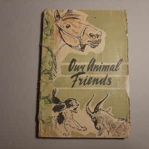 Children&#39;s Book textbook with Dictionary It&#39;s; Vintage 63s book; Animals Kids English/Russian Book; Story Book; Illustrated Textbook
