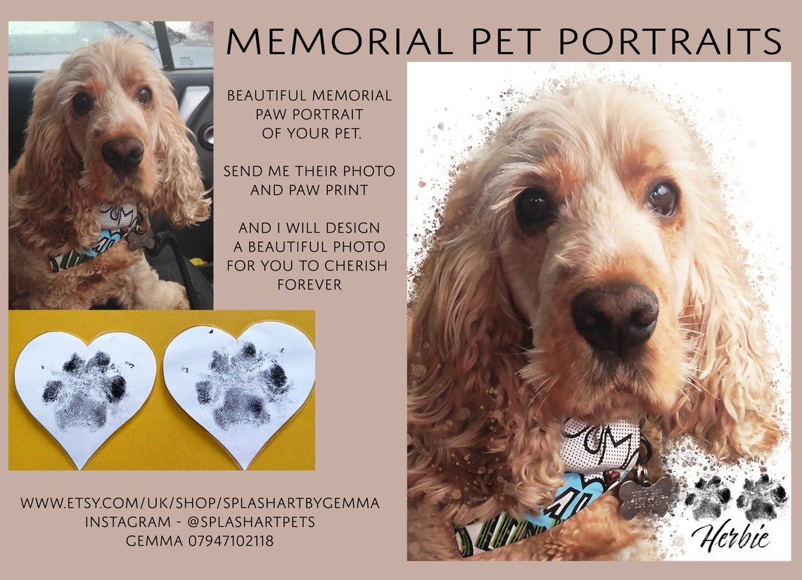 Memorial Pet Sparkly Glitter Bereavement Gift Dogs paw Etsy