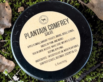 Plantain and Comfrey Salve, Nature's Salve, Natural Skin Menders