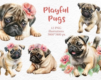 Watercolor pugs clipart png digital download, vintage Pug illustrations digital graphics, commercial and personal use png