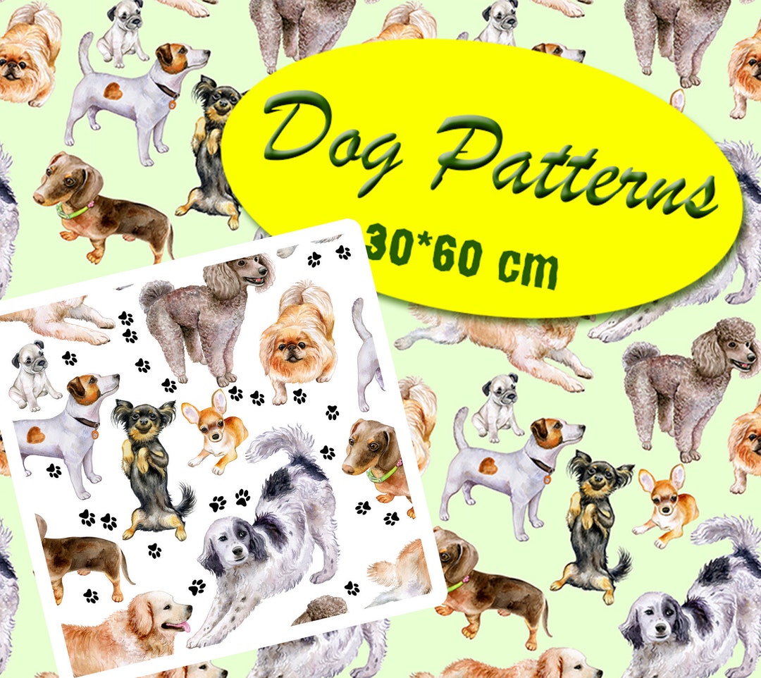 Can You Get Papers For A Dog