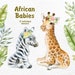 see more listings in the African animals section