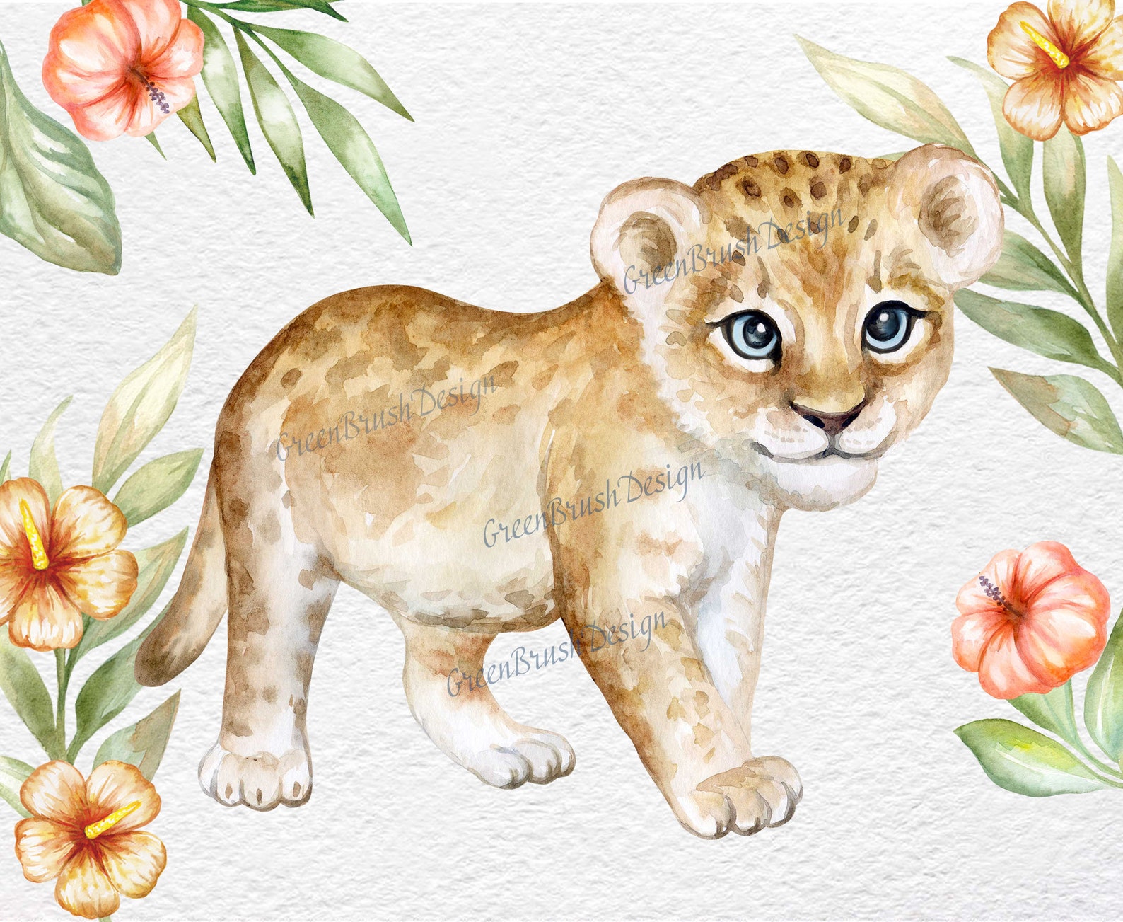 Baby Lion. Lion cub. Watercolor little animal clipart babies Etsy
