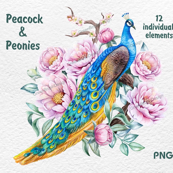 Peacock Pink peonies Watercolor clipart Bird of paradise, flowers for Wedding invite Logo Digital clip art PNG Boho DIY DIGITAL FIles