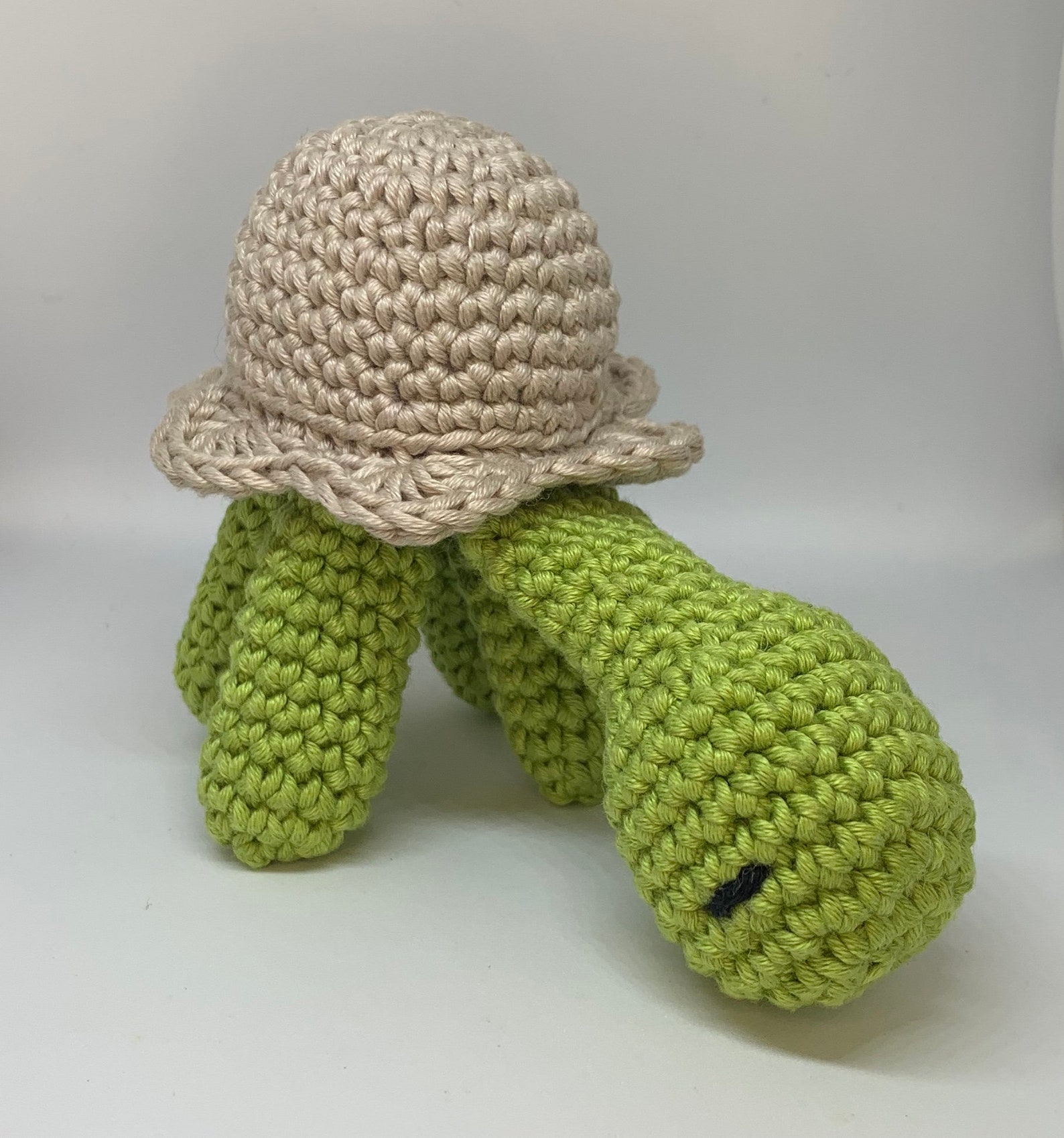 Flo the Tortoise crochet pattern for beginners Etsy
