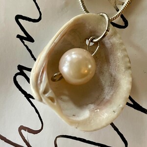 May include: A silver chain necklace with a seashell pendant. The seashell is white with brown accents and a pearl is nestled inside.