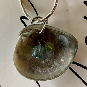 May include: A silver chain necklace with a seashell pendant. The seashell is open and has three small beads inside: one blue and two green.