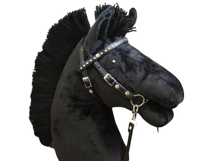 Black Hobbyhorse  Black horses, Hobby horse, Hobby horses