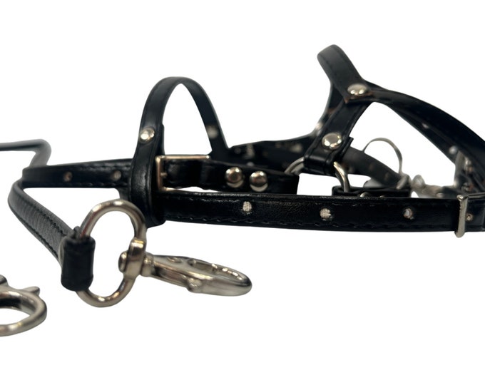 Anatomic bridle for hobby horse, bridle hobby horse, bridle, bridle for hobby horse, accessories hobby horse, hobby horse bridle