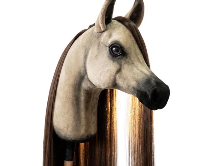 Handmade Arabian Hobby Horse, Realistic Stick Horse Toy, Gift for Kids