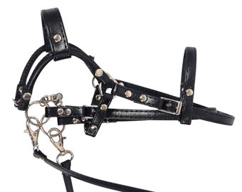Bridon de saut en hauteur pour cheval de loisir, bride de cheval de loisir, bridon pas cher pour cheval de loisir, bridon noir, saut en hauteur