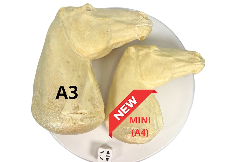 Pode incluir: Duas esculturas de cabe&ccedil;a de cavalo, uma maior etiquetada como "A3" e outra menor etiquetada como "NEW MINI (A4)".