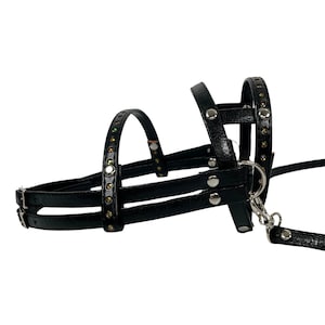Paris bridle for hobby horse, bridle hobby horse, bridle, bridle for hobby horse, accessories hobby horse, bitless bridle for hobby horse