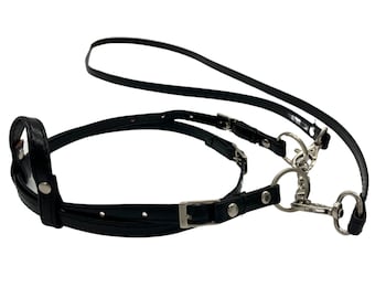 Può includere: Guinzaglio per cani in pelle nera con due cinturini separati e un moschettone in metallo. Il guinzaglio ha una fibbia e un anello per il fissaggio al collare.