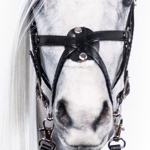 Pode incluir: Uma cabe&ccedil;a de cavalo branca com um freio e um focinho de couro preto. O freio tem uma fivela prateada e dois clipes prateados. O cavalo est&aacute; usando uma corda de chumbo de couro preto.