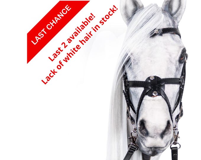 Realistic White Hobby Horse, Handmade Stick Horse, Unique Custom Gift for Kids, Best Quality in the World, One of a Kind, Realistic Pferd