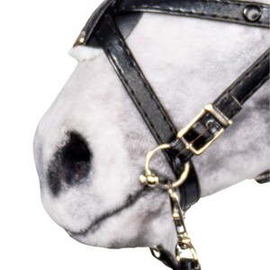 Pode incluir: Close-up do rosto de um cavalo branco usando um cabresto de couro preto com uma fivela dourada e uma corrente presa.