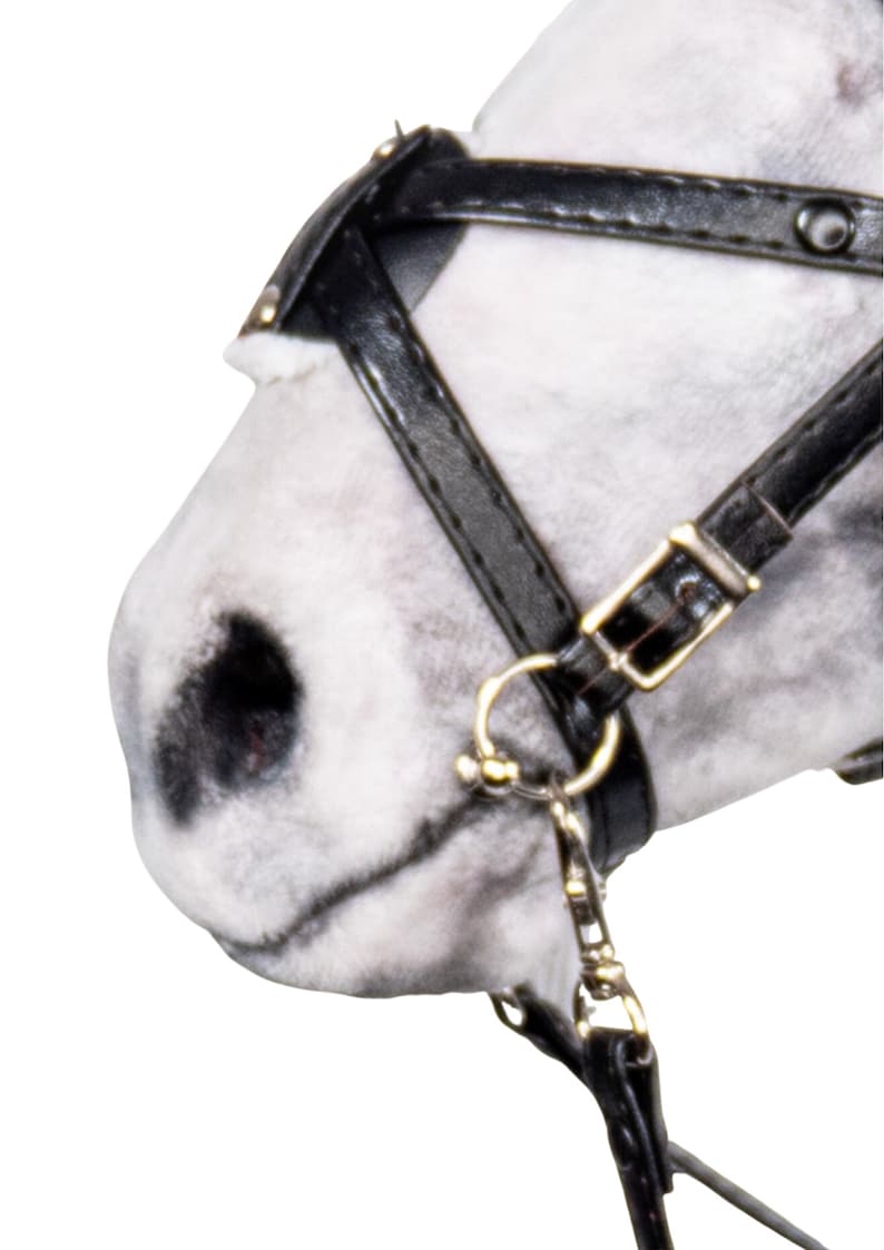 Pode incluir: Close-up do rosto de um cavalo branco usando um cabresto de couro preto com uma fivela dourada e uma corrente presa.