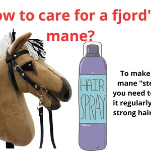 Pu&ograve; includere: Una testa di cavallo di peluche marrone e bianca con un morso e redini nere. La criniera del cavallo &egrave; acconciata con una frangia bianca e nera. Una bomboletta spray per capelli viola con un'etichetta blu che dice "HAIR SPRAY" &egrave; accanto al cavallo. Il testo "Per rendere la tua criniera "stabile", devi spruzzarla regolarmente con una lacca forte." &egrave; sotto il cavallo e la bomboletta spray.