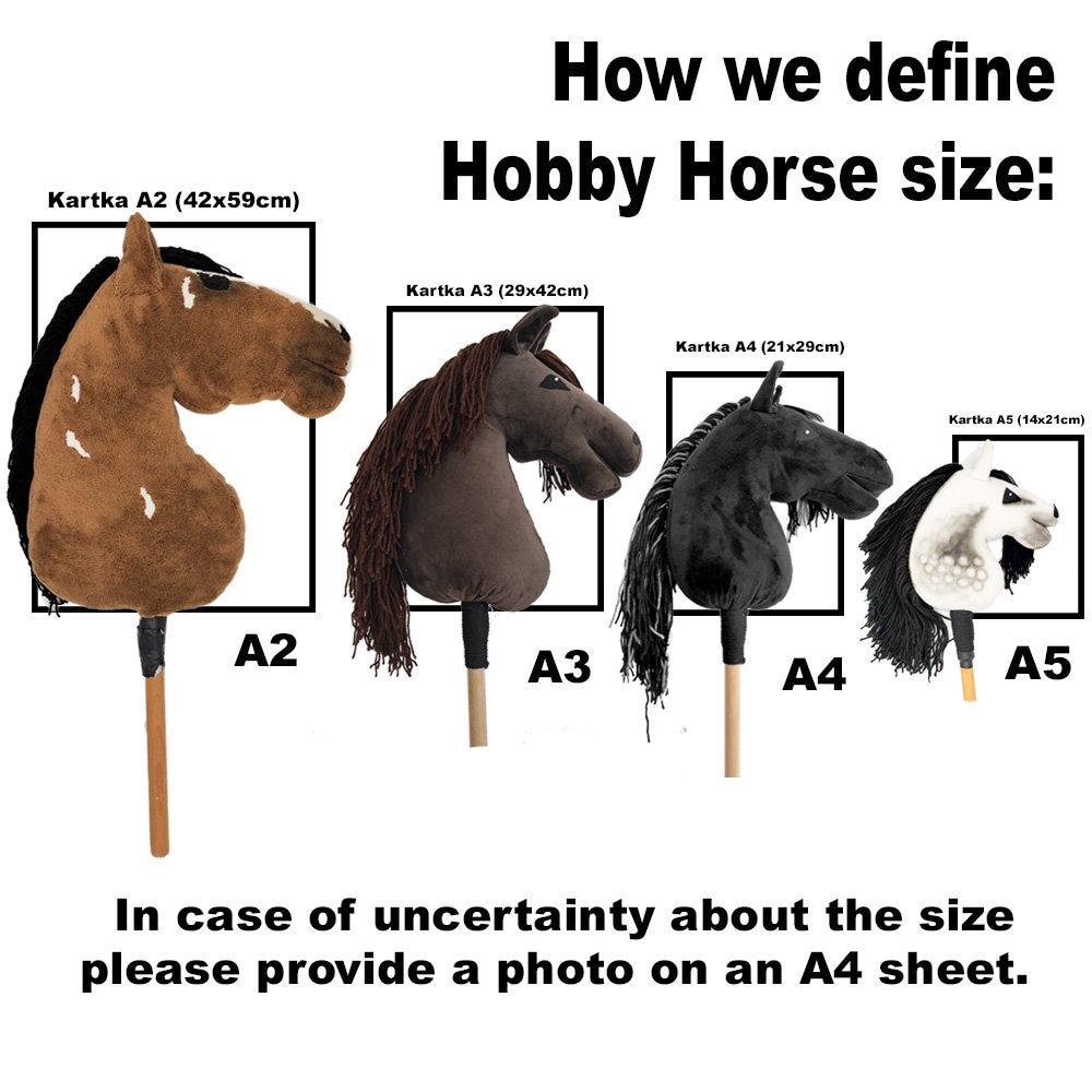 Hobby Horse, Pied Horse, Black Hobby Horse, Hobby Horse With Bridle,  Steckenpferd, Horse on a Stick, Hobbyhorse, Black Horse, Real Horse 