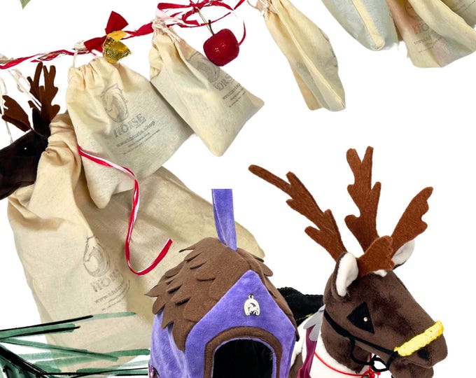 Advent Calendar with 7 items for baby horse mini  with hobby horse or transporter and accessories, baby horse mini, accessories baby horse