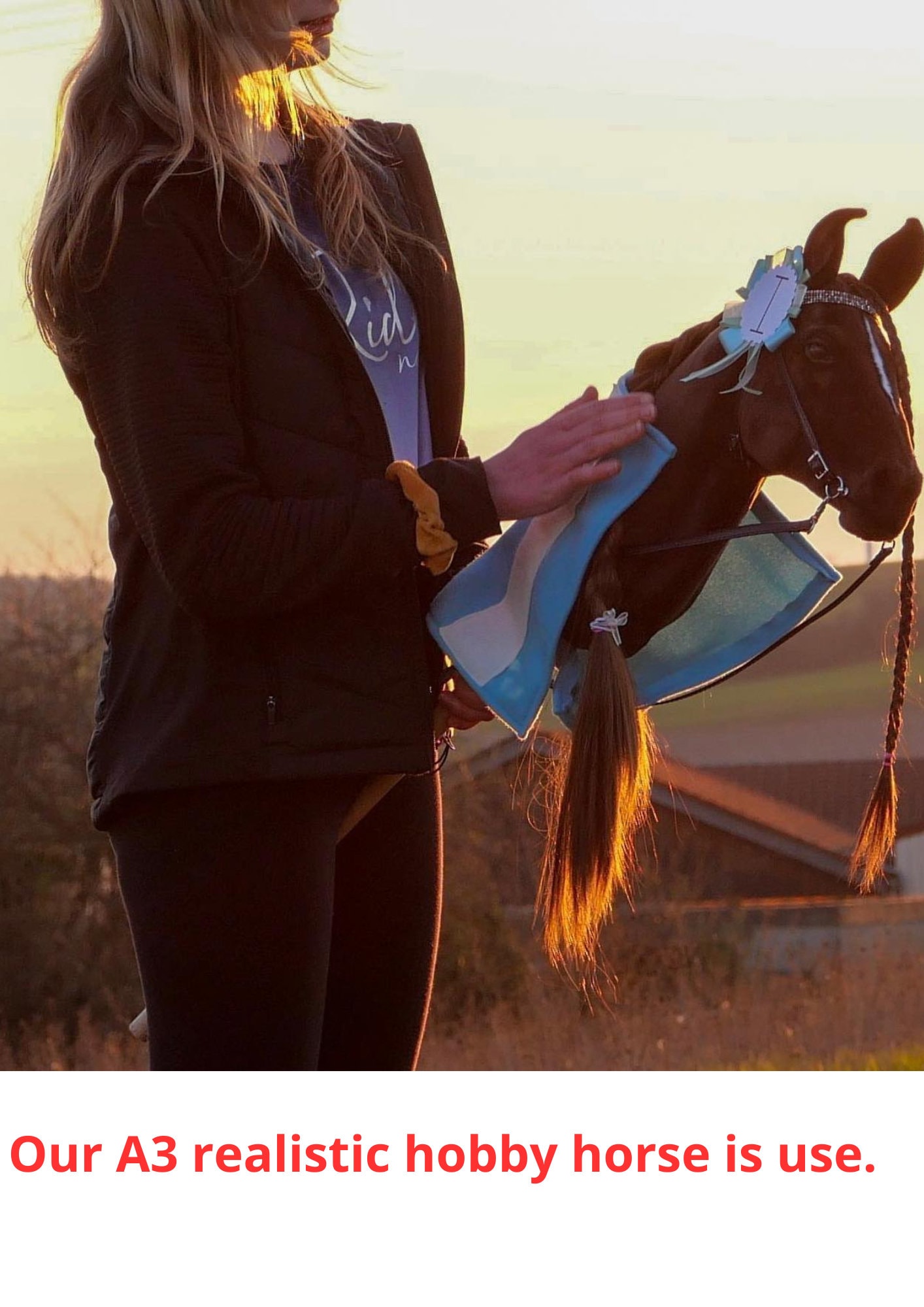 Hobbyhorse: in Scandinavia l'equitazione è senza cavallo