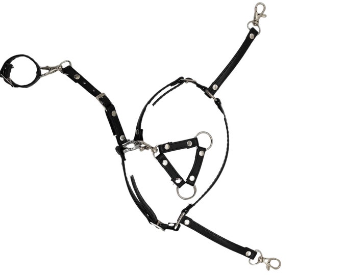 Breastplate for hobby horse, breastplate hobby horse, hobby horse, breastplate, colour breastplate for hobby horse, realistic breastplate