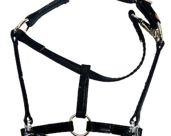 Halter  for realistic hobby horse, color halter for realistic, realistic halter, halter hobbyhorse, bridle hobby horse