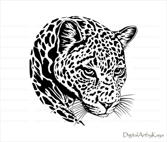 Download Leopard Svg Jaguar Svg Wild Cat Spots Wildlife Svg Wild Etsy