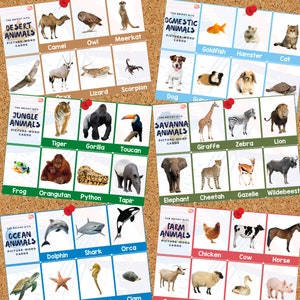 Animal Printable Picture-Word Cards Set (48 cards) | Animal Habitat Flashcards | Educational Flashcards Set | Homeschool | Preschool |Pre-K