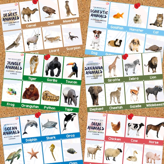 Animal Printable Picture-Word Cards Set 48 cards Animal | Etsy